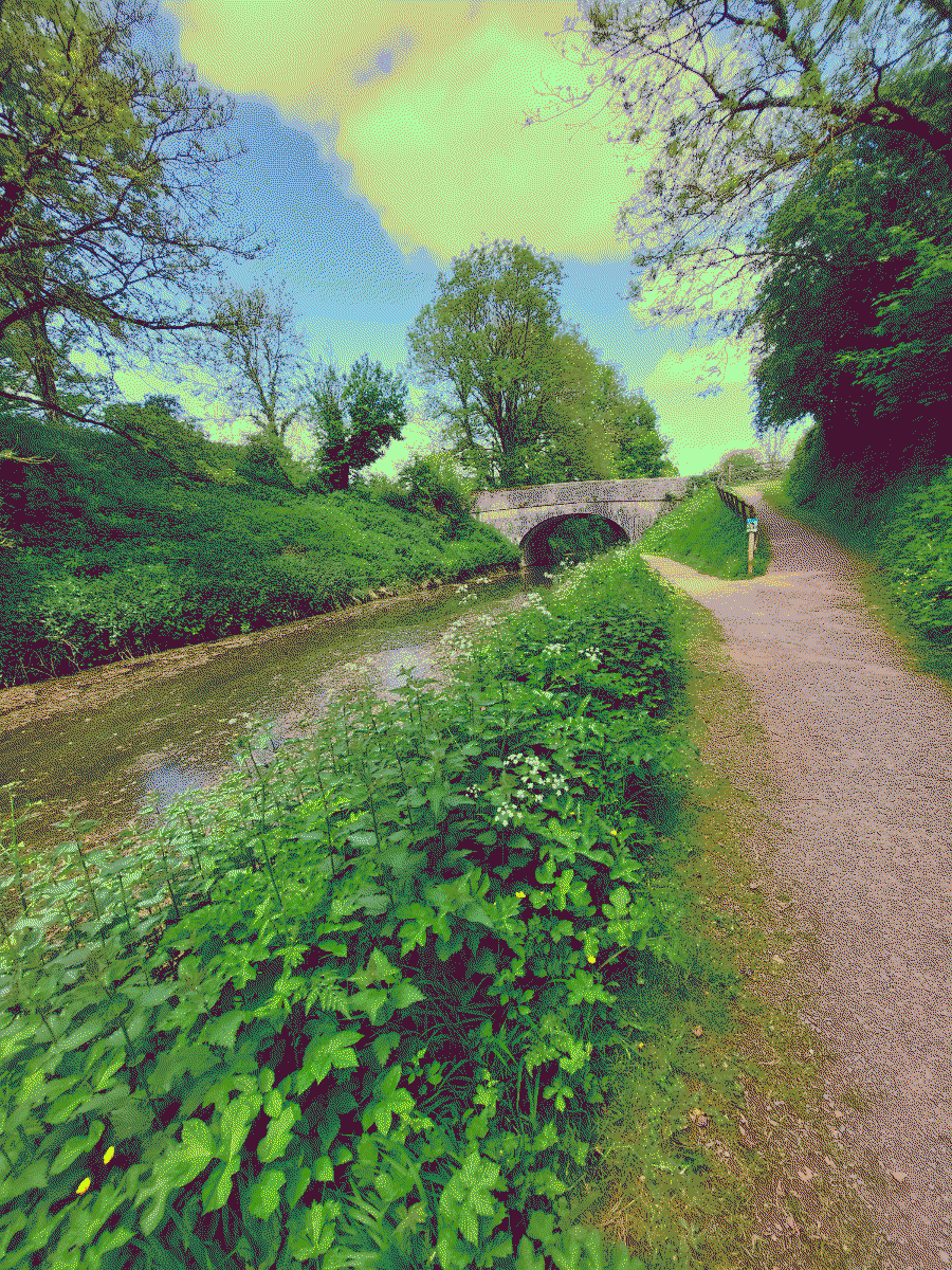 canal side walk