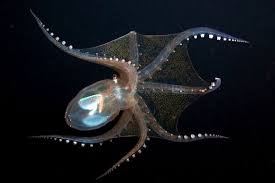 what does this thing think about